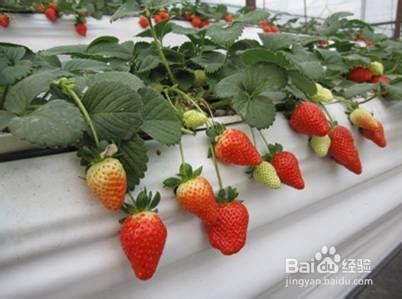 硅pu篮球场施工 这3点得知道‘火狐电竞官网’(图3) 火狐电竞官网