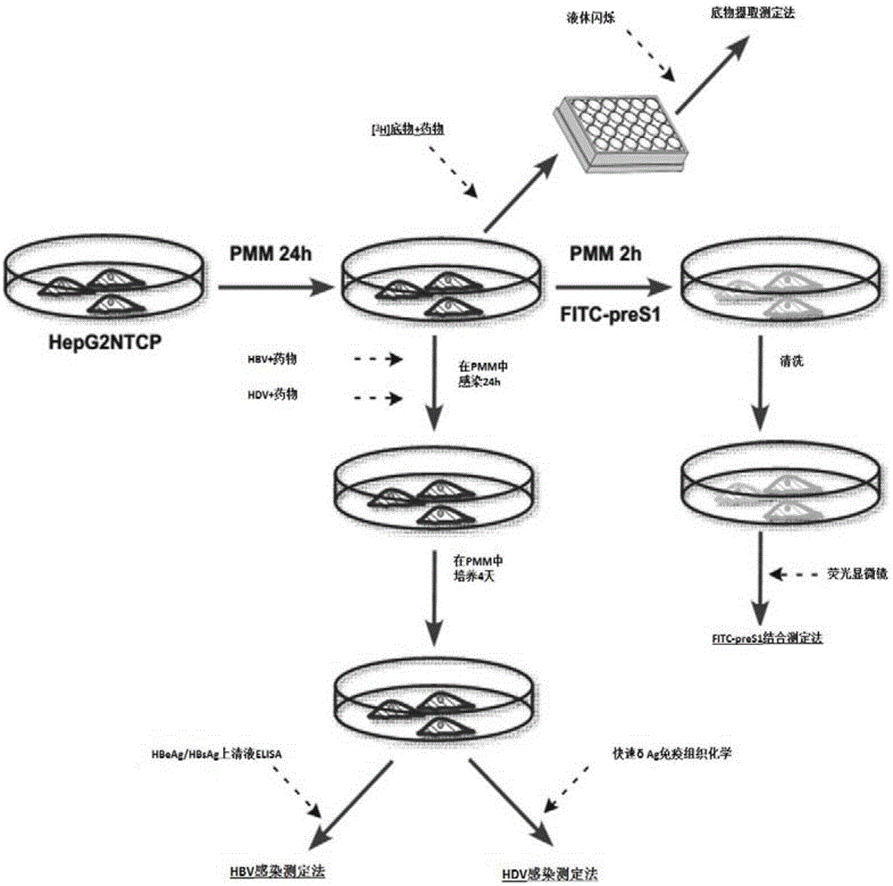 火狐电竞官方网站
