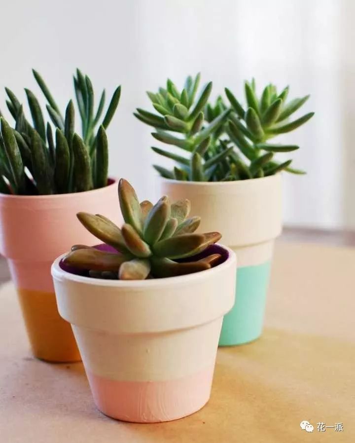 火狐电竞|良渚五千年一座城的故事(图2) 火狐电竞官网