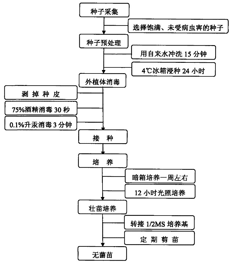 亚洲杯淘汰赛国足预计首发:武磊带伤出战冲击泰国防线‘火狐电竞’(图2) 火狐电竞官网