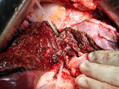 火狐电竞官网_重压之下无惧色!国足迎新合作伙伴 助力12强赛(图2) 火狐电竞官网