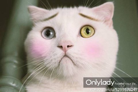 张卫水墨展亮相南京:名副其实的“异象之域”|火狐电竞官网(图1) 火狐电竞