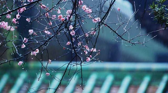 火狐电竞官方网站