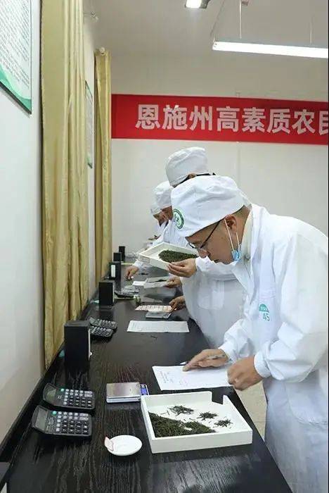 恩施州:职业技术品级认定事情深入推进‘火狐电竞官网’(图5)
恩施州:职业技术品级认定事情深入推进‘火狐电竞官网’(图5)