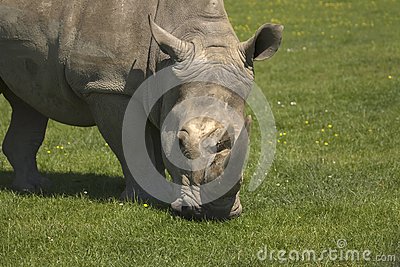 火狐电竞|
2020年起 这“4笔”物业费业主无需缴纳 别再傻傻送钱给物业了(图2) 火狐电竞官网