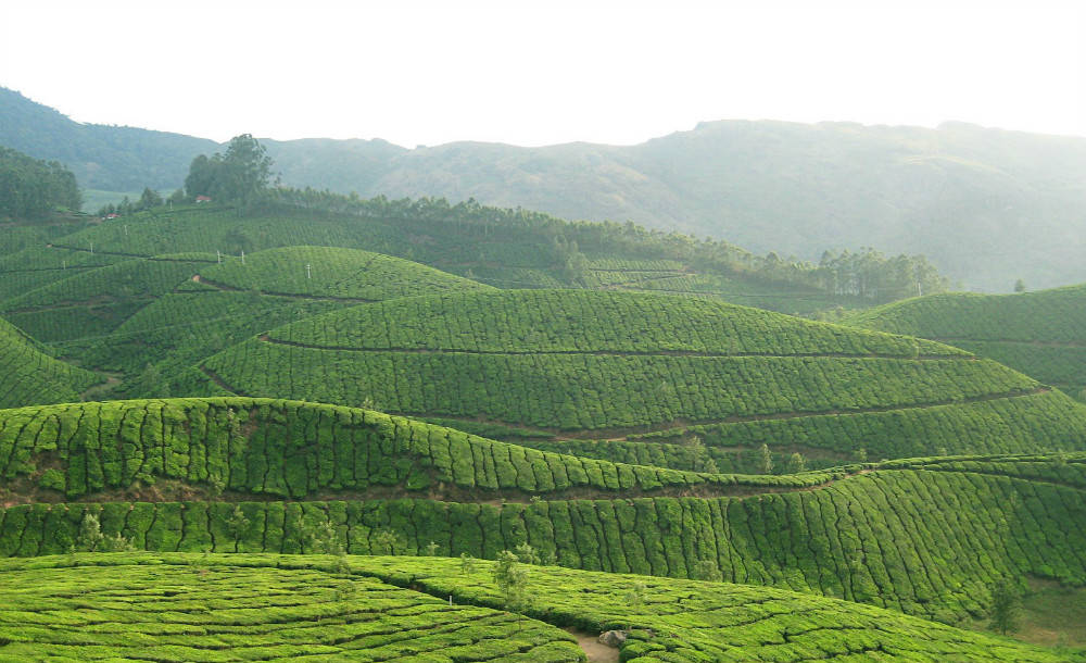 初中造句息争释【火狐电竞官网】(图1)
初中造句息争释【火狐电竞官网】(图1)