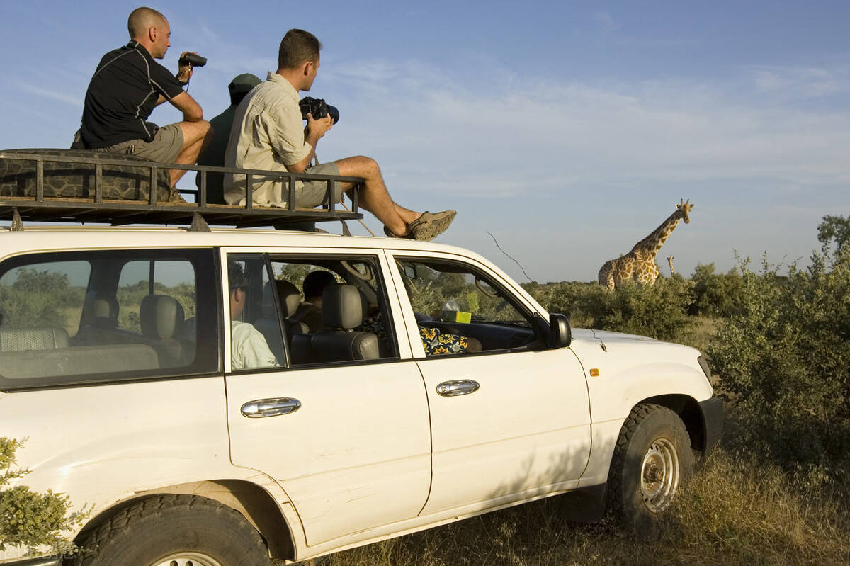 尼日利亚会遵守西非经共体5年二手车限制令吗？|火狐电竞官网(图2)