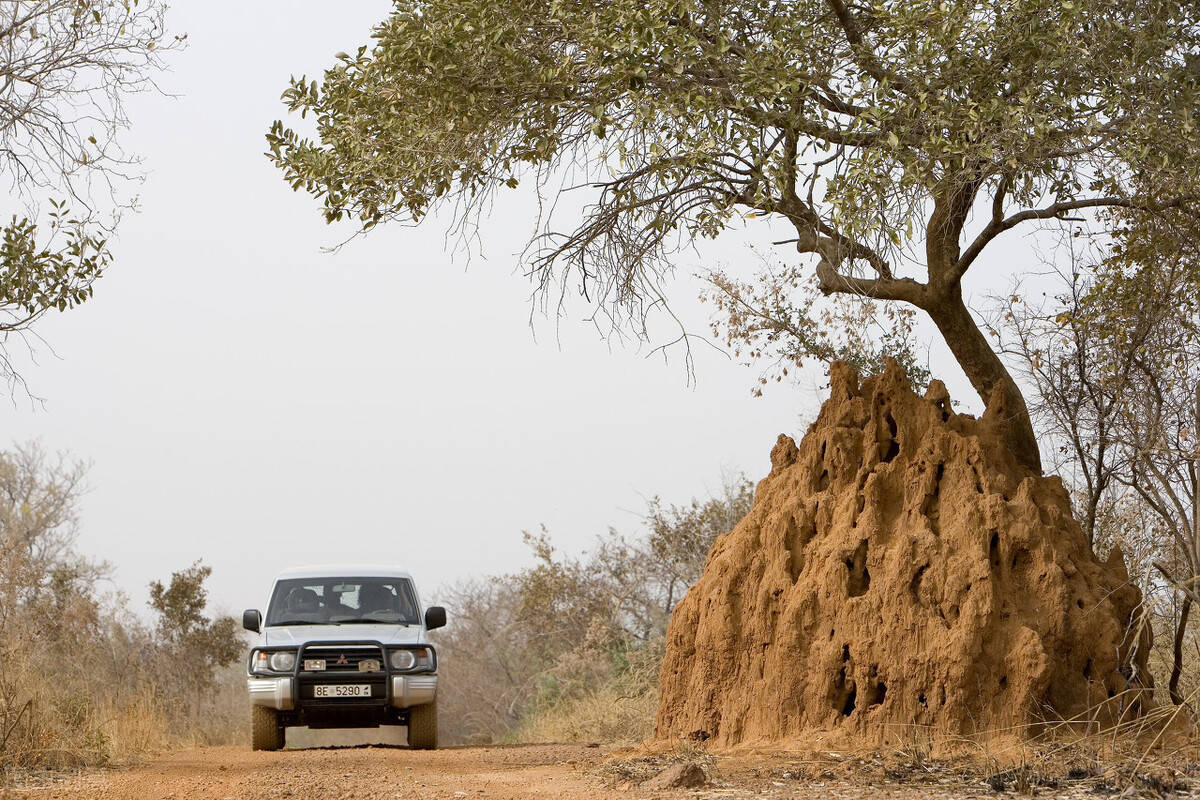 尼日利亚会遵守西非经共体5年二手车限制令吗？|火狐电竞官网(图6)