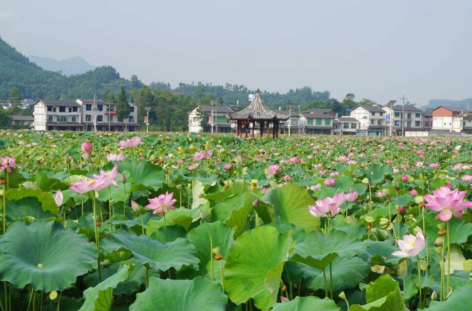 “火狐电竞官方网站”古玉收藏的四种陷阱作者:2012-08-2511:22:02来源:北京日报近来,“玉凳门”、“玉衣门”波澜频起,在收藏界(图3) 火狐电竞官网