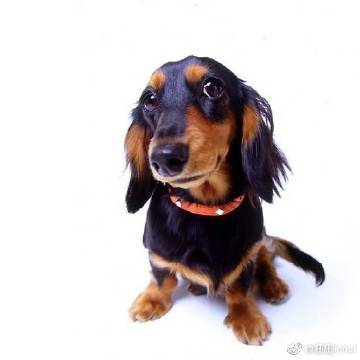 火狐电竞官方网站