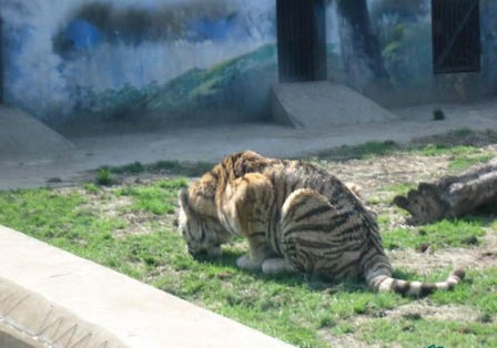 火狐电竞官方网站