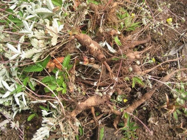 火狐电竞官网:
中国历史上以一敌百的真正猛将 只有这三位 其他的基础不值一提(图4) 火狐电竞