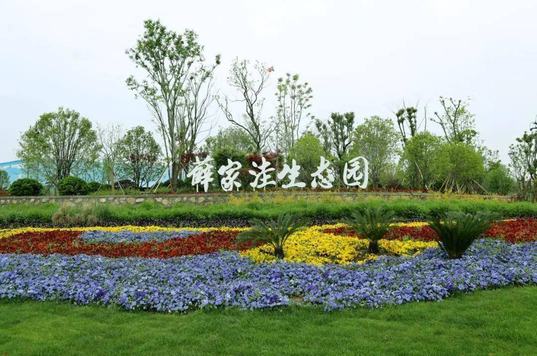 火狐电竞|
【文明实践在行动】这里是马鞍山(图20)