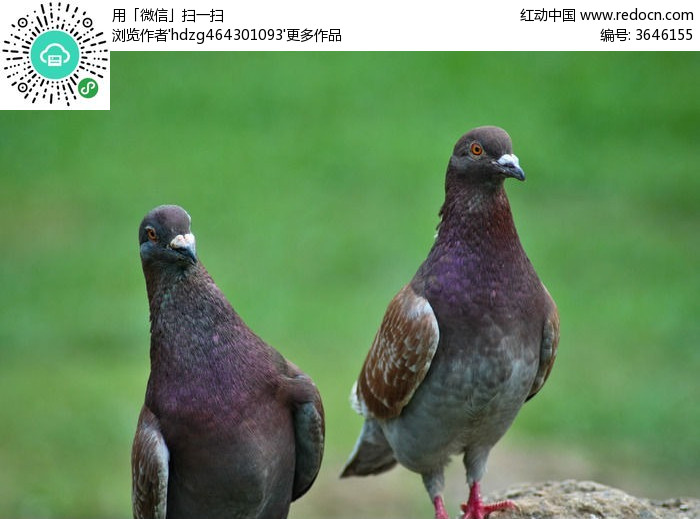 火狐电竞官方网站