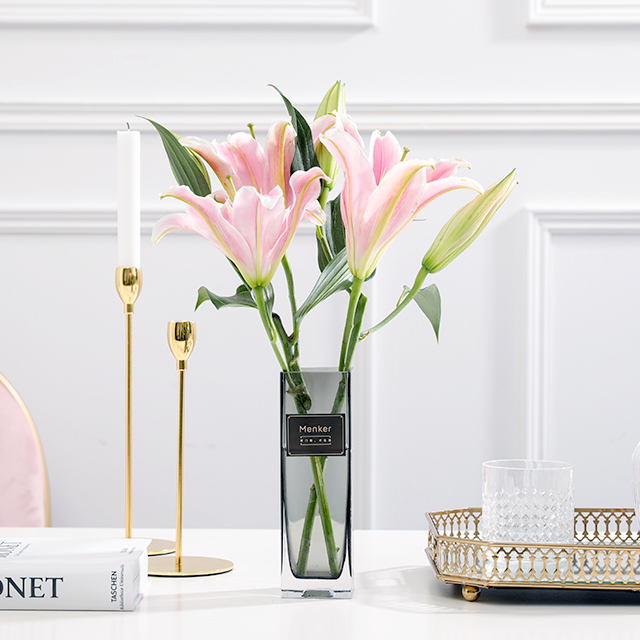 火狐电竞官方网站