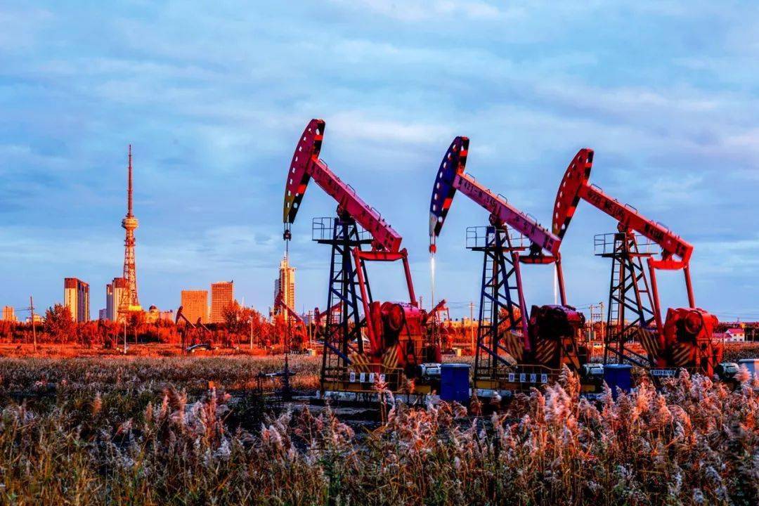 “火狐电竞官网”
黑龙江是个好地方(图7)