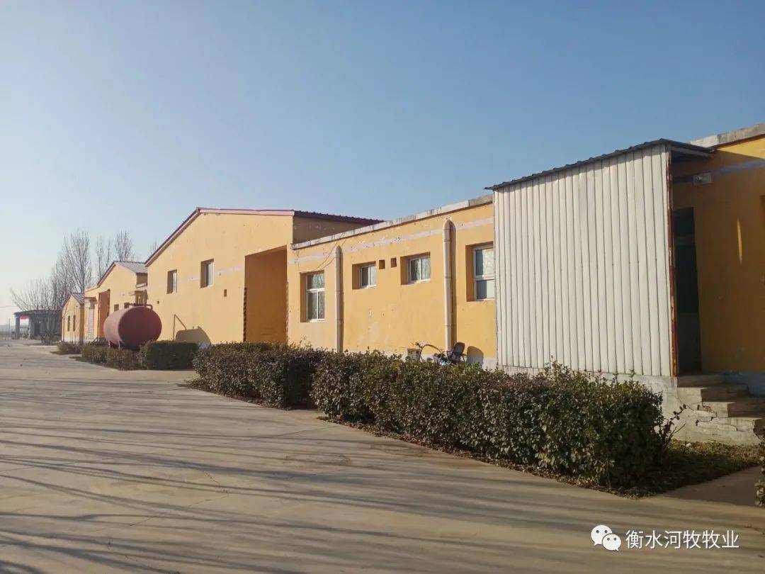 火狐电竞官网-
河牧牧业祝愿您——元旦元旦之一切圆满(图15)