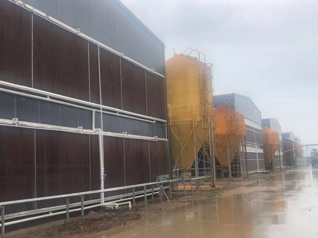 火狐电竞官网-
河牧牧业祝愿您——元旦元旦之一切圆满(图20)