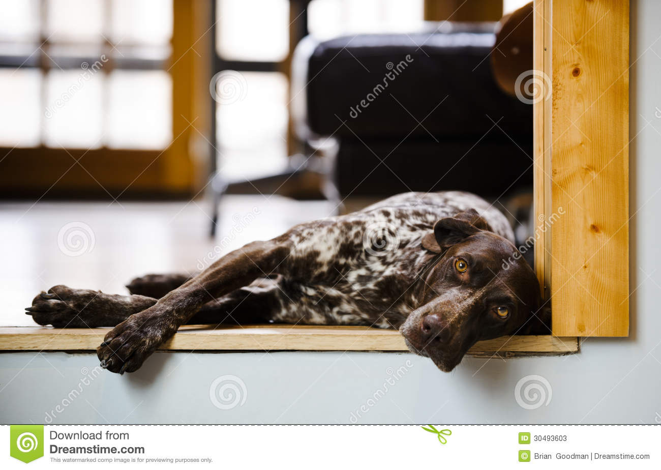 火狐电竞官方网站