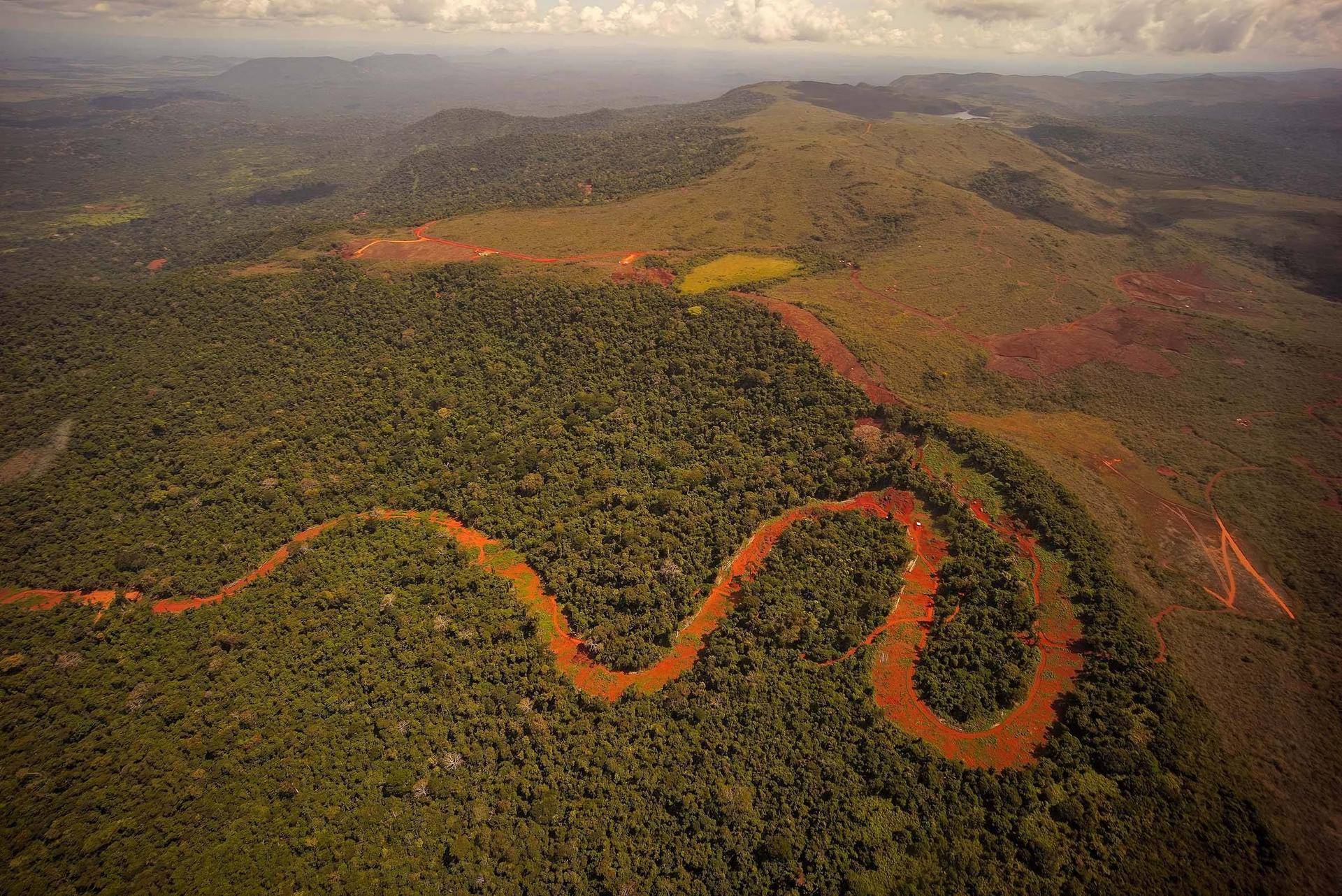 【火狐电竞官网】
世界上最大的蛇是什么蛇 有多长？(图4)