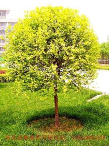 火狐电竞官方网站