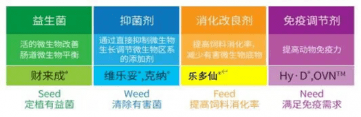 火狐电竞官方网站：
百年帝斯曼：2020年在推动畜牧业可连续生长中是如何逆势飞扬的(图6)