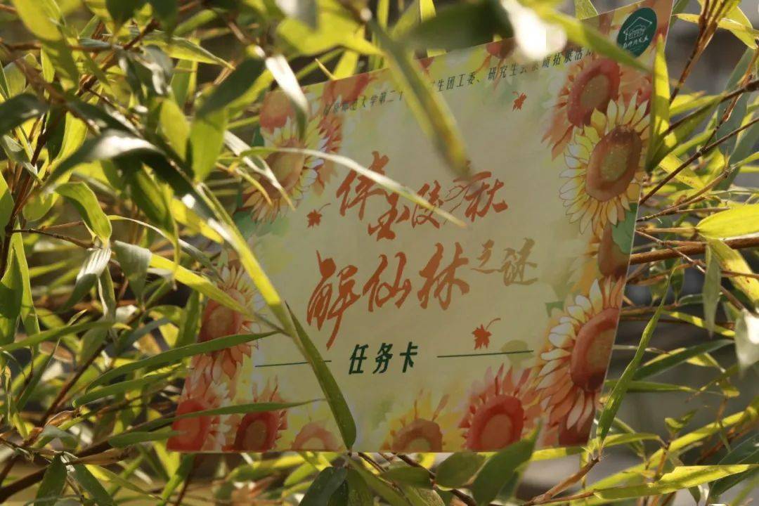 素拓回首‘火狐电竞官方网站’(图2)
素拓回首‘火狐电竞官方网站’(图2)