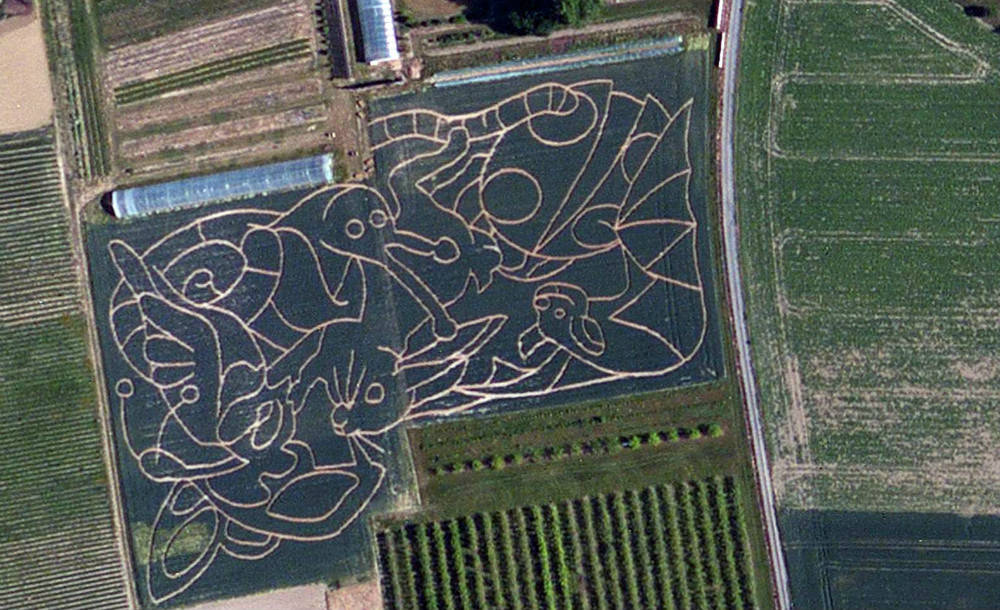 ‘火狐电竞’
熟谙造句息争释(图2)