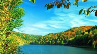 火狐电竞官方网站