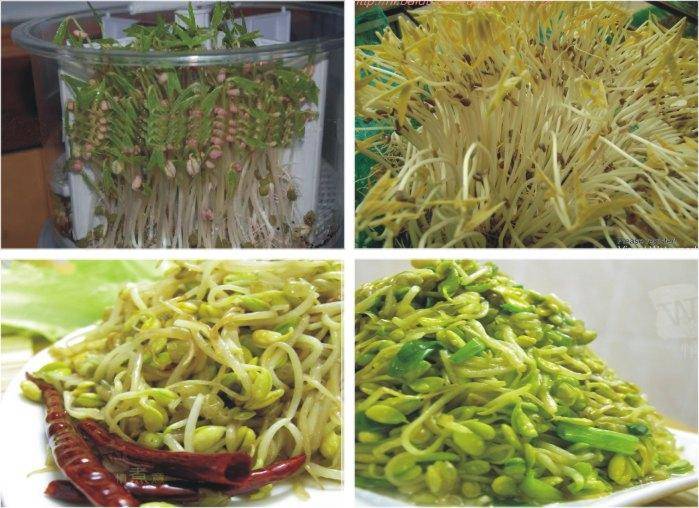 火狐电竞官方网站