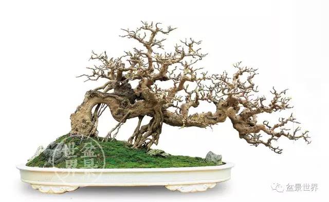 “王者”张大千:世界拍卖成交额最高的艺术家|火狐电竞官网(图2) 火狐电竞官网