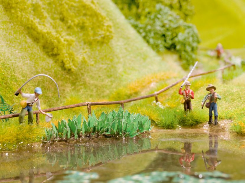 火狐电竞官方网站