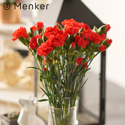 商务部4项举措改善农村流通体系‘火狐电竞官网’(图4) 火狐电竞官网