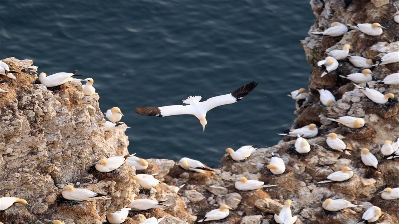 卡帅:兼职国足不累,我通过摄像头看广州恒大训练:火狐电竞官网(图2) 火狐电竞官网