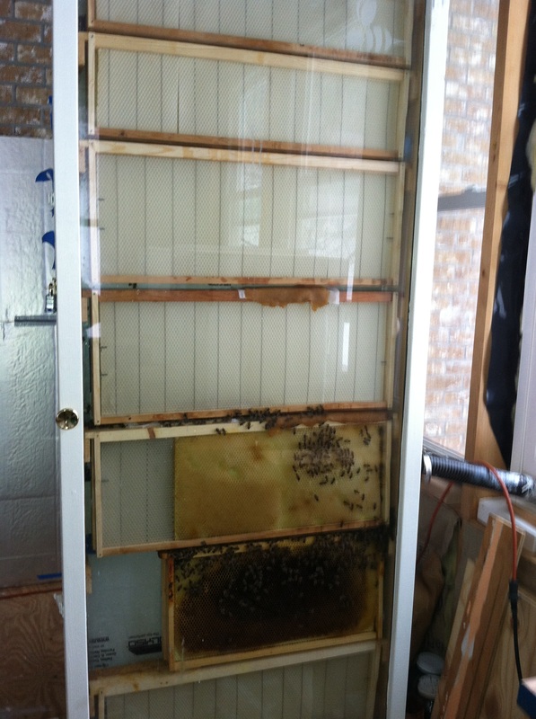 苏富比纽约春拍2/3高端艺术品流拍市场现降温迹象【火狐电竞】(图1) 火狐电竞官网