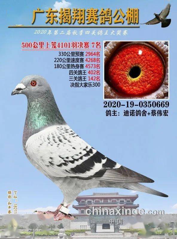 火狐电竞官网_
正在直播：广东揭翔获奖鸽同步拍卖(图13)