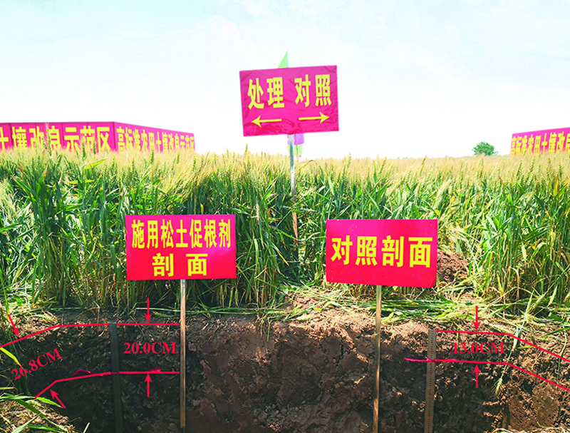 
高尺度农田土壤改良技术及差别类型障碍性土壤改良措施、指标“火狐电竞官网”(图6)