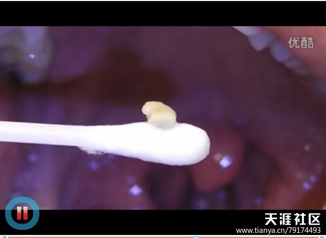 “火狐电竞”于洪臣足协回顾:青少足球培养有建树 韦迪赞誉(图1) 火狐电竞官网