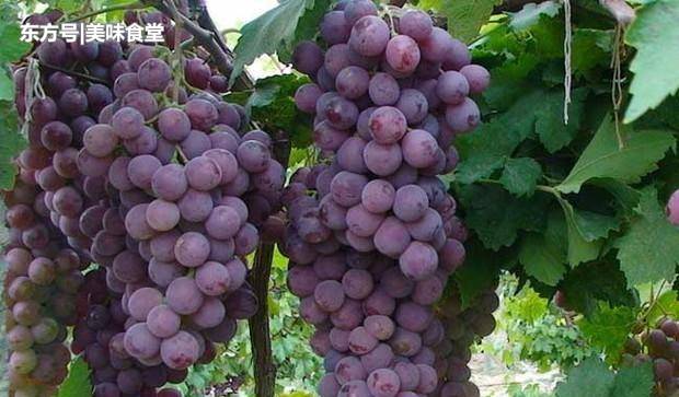 火狐电竞-
<h1>何水法:家长不要强求将孩子培养成艺术大师(图1) 火狐电竞官网